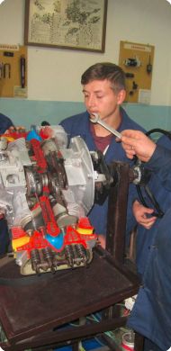 12244781 1649584125322645 1794369806235662982 o