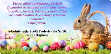 58378951 2343314509282933 6607485805378142208 n